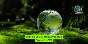 O “E” de ESG: O Meio Ambiente O que é o “E”?