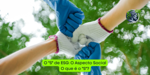 O “S” de ESG: O Aspecto Social O que é o “S”?